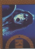 Gold Border Chase Set